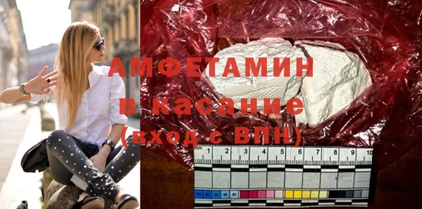 шишки Алексин