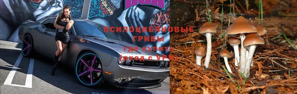 марки nbome Абинск