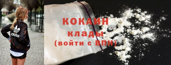 дживик Осинники