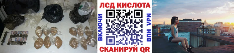 купить наркоту  Топки  ЛСД экстази кислота 