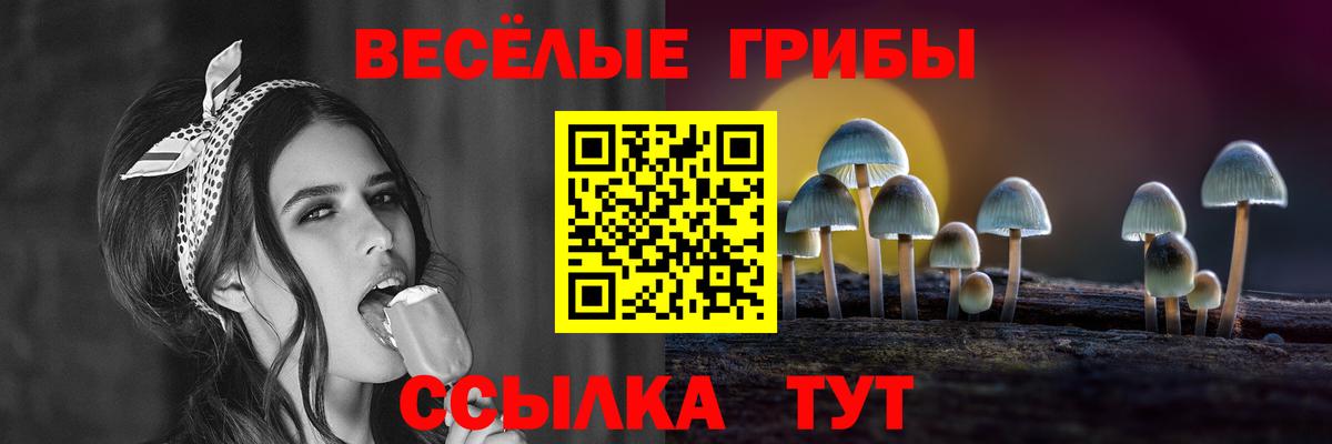 Псилоцибиновые грибы MAGIC MUSHROOMS Топки