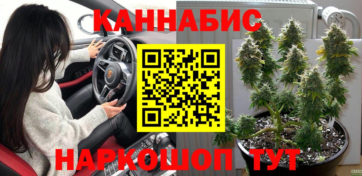Бошки Шишки планчик Топки